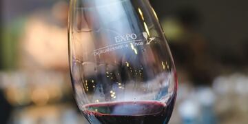 Imu00e1genes de la Expo Delicatessen y Vinos.