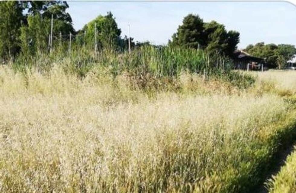 IVR reclama por pérdida de agua