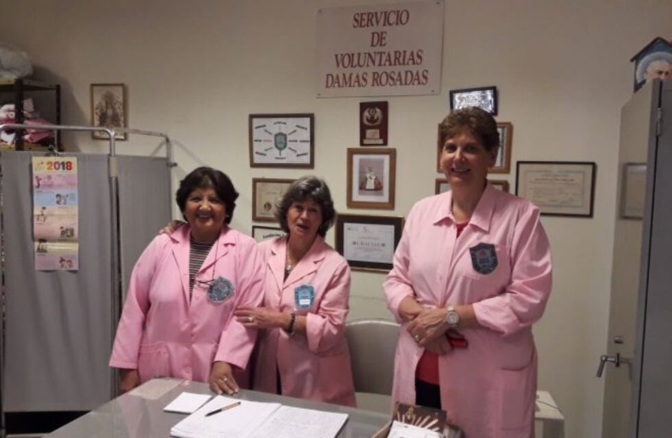 Damas Rosadas, grandes compañeras de las mamás en el Materno Infantil de Salta