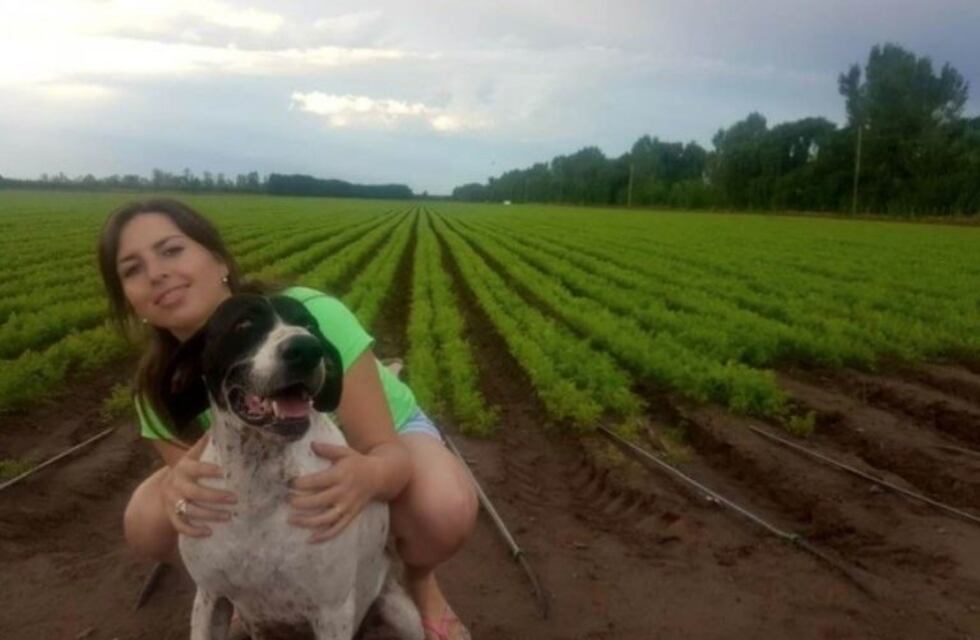 Buscan a su perro hasta desde un parapente y ofrecen $15.000 de recompensa