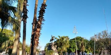 Cielo despejado y con mucho calor\u002E