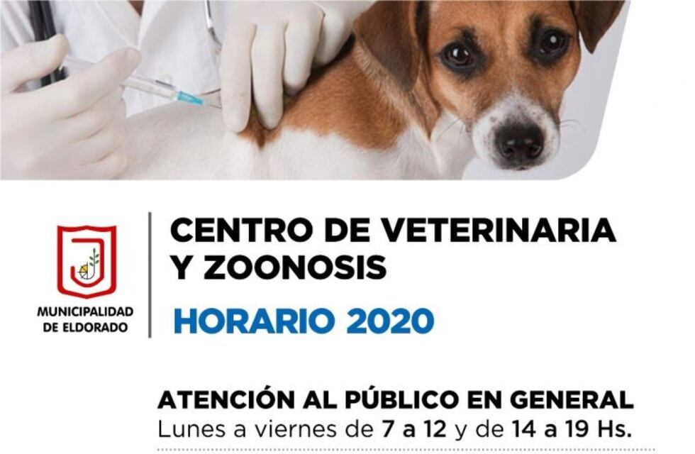 El Centro de Zoonosis vuelve a atender en horario regular