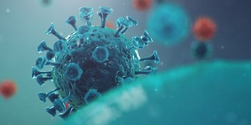 La Rioja se acerca a cumplir un ciclo de Covid-19 sin nuevos contagios