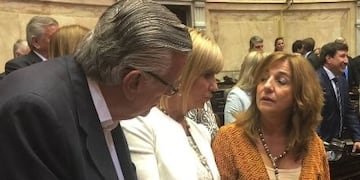 La ex jueza Alejandra Rodenas se manifestó en contra de la reforma previsional\u002E (@JLGiojaPrensa)