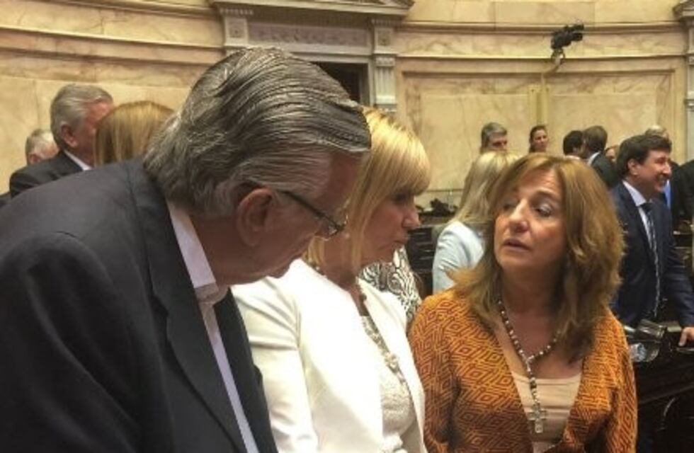 Una diputada rosarina apeló a una letra de Charly García durante la sesión en el Congreso