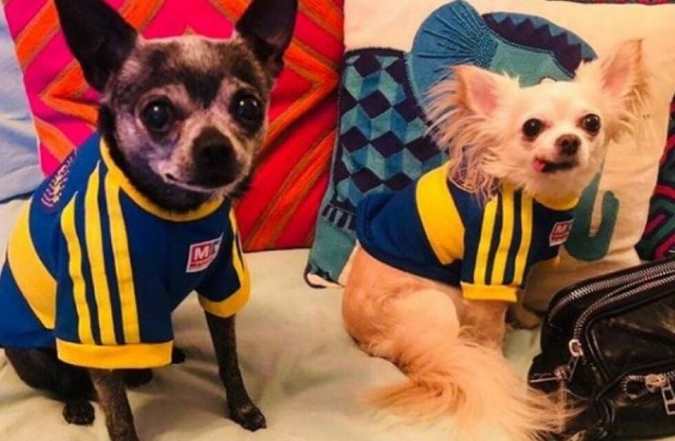 El enojo de Marcelo Tinelli con Lisandro López por vestir con la camiseta de Boca a los perros de su hija