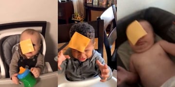 Cheese challenge (Web)