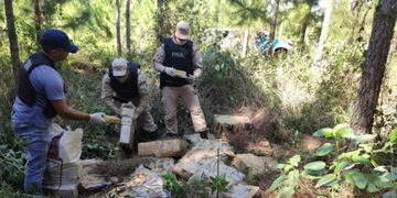 La droga estaba oculta en cercanía de la ruta nacional 12\u002E