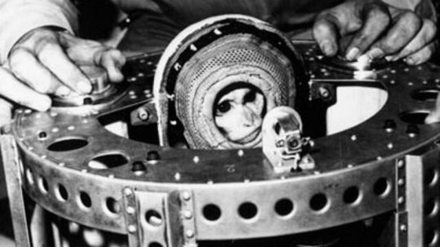 El mono Juan, el primer astronauta argentino