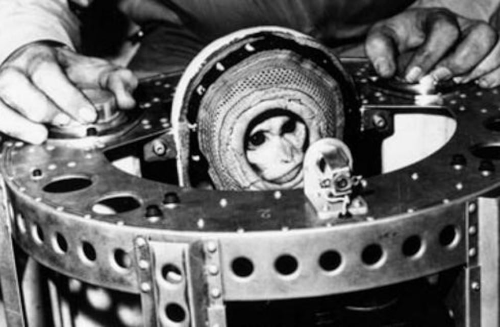 El mono Juan, primer astronauta argentino, pasó por el Zoo de Córdoba