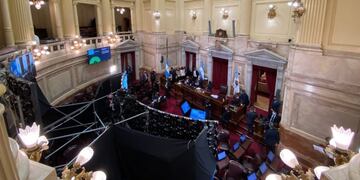 Sesión en el Senado\u002E (Foto: Clarín)