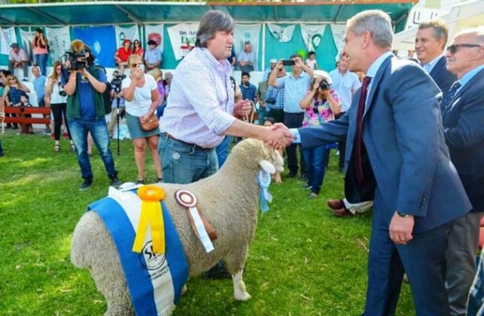 Esquel se prepara para la exposición ovina y el encuentro de caballos