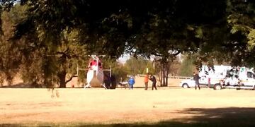 El caballo murió en el acto tras el brutal golpe\u002E Los jóvenes están hospitalizados\u002E