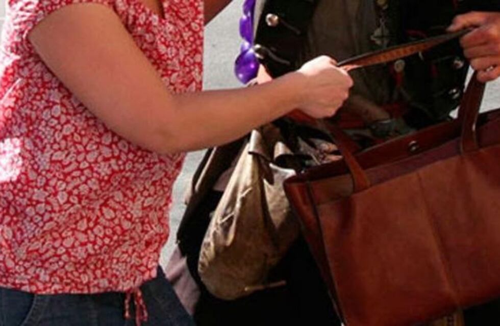 Buscan a un individuo que le robó a una mujer en una parada de colectivo