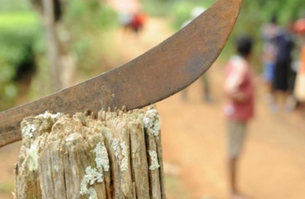 Dos lesionados tras una pelea a machetazos entre vecinos