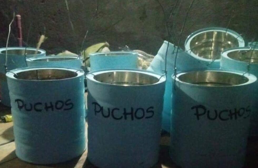 Cuatro niños luchan contra la contaminación en Pehuen Co