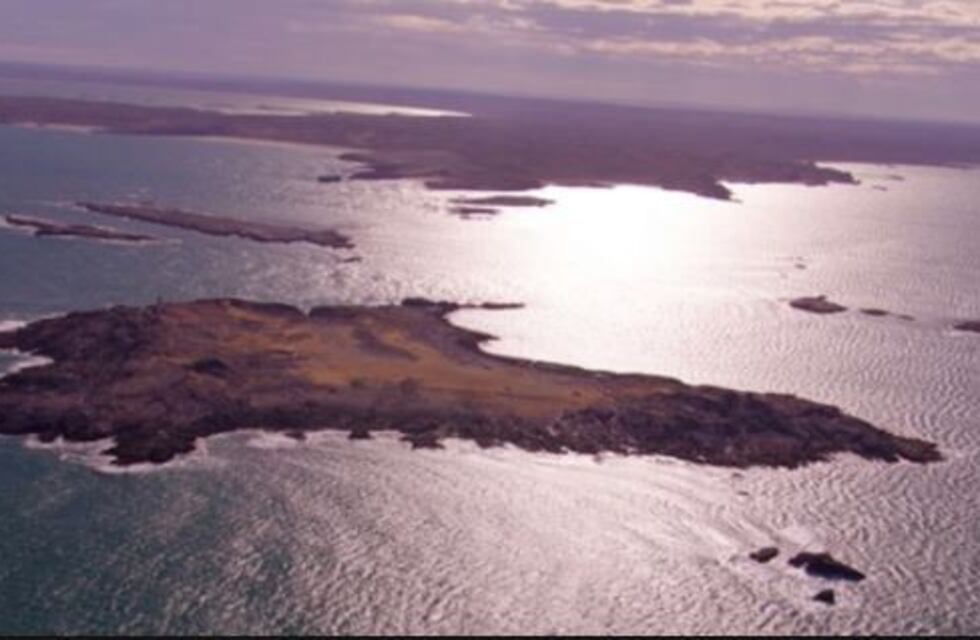 Argentina impulsa la creación de dos nuevos parques nacionales marinos