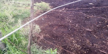 Un cable de alta tensión que había caído tocaba el alambrado