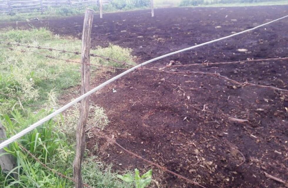 San Martin Dos: Un peón rural falleció electrocutado por un cable de alta tensión