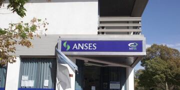 ANSES San Rafael