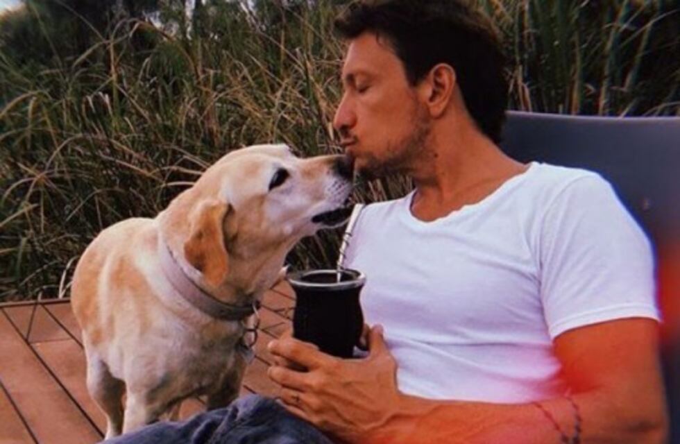 Nico Vázquez recreó una escena de "La dama y el vagabundo" con su perra