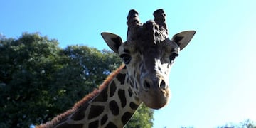 (Foto: EFE/Alberto Ortiz)