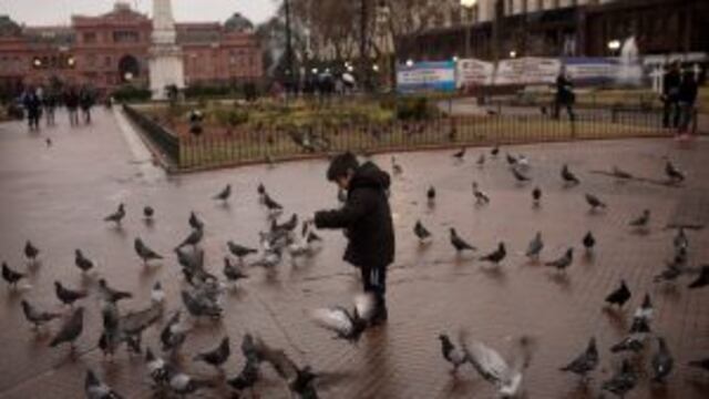 child feeds pigeons in the Plaza de Mayo in Buenos Aires, Argentina, on Thursday, July 30, 2015. Argentinau2019s benchmark bonds have returned 16 percent in the past year on speculation that the country's next president will unwind capital controls, subsidies and tackle inflation. Photographer: Victor J. Blue/Bloomberg buenos aires  recorrida por la ciudad espectativas por las proximas elecciones presidenciales nene chico le da de comer a las palomas plaza de mayo