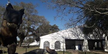 Los dinosaurios es la actividad que más atrae a los niños\u002E (Prensa Gobierno)