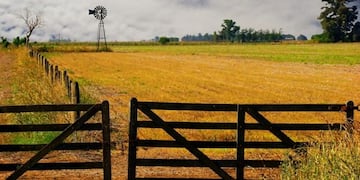 Comenzó el Censo Nacional Agropecuario (Web)