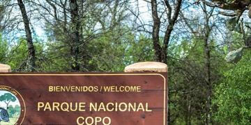Parque Nacional de Copo\u002E