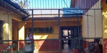 Nuevo robo en la Escuela 688 de Oberá\u002E (Foto: El Territorio)