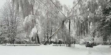 Realizan un nuevo corte de luz en Villa La Angostura para reparar un cable de alta tensión\u002E