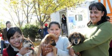 La propuesta incluye diferentes medidas para garantizar el cuidado de los animales domésticos\u002E (Prensa Municipalidad de Rosario)