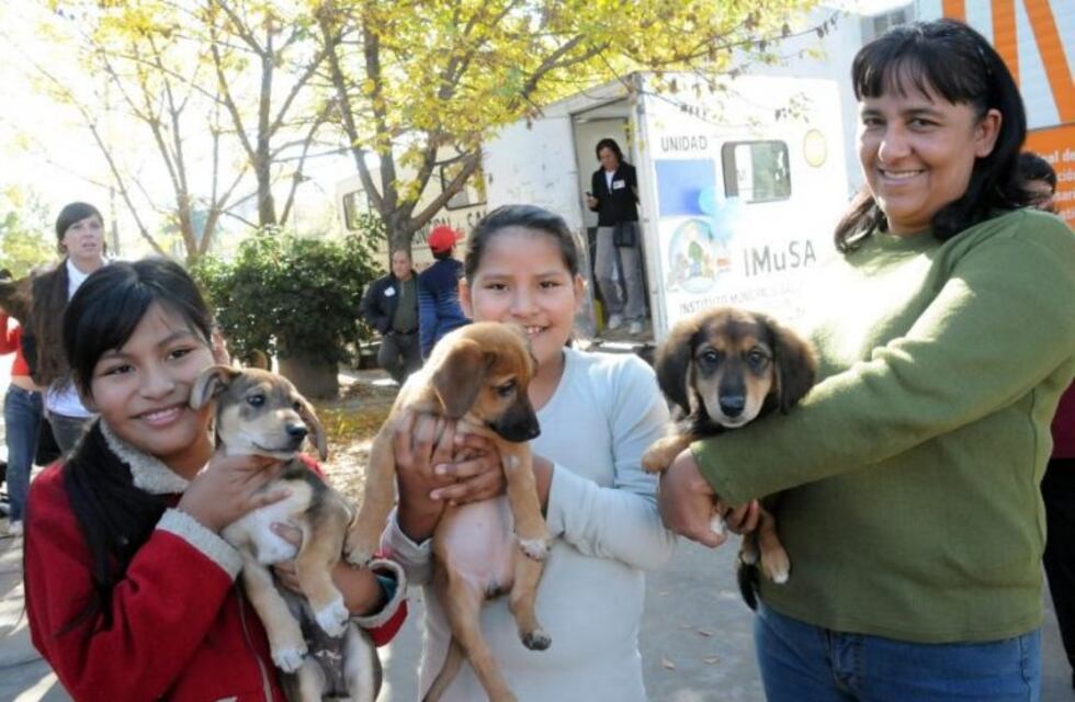 Proponen crear un registro público de adoptantes de mascotas en el Imusa