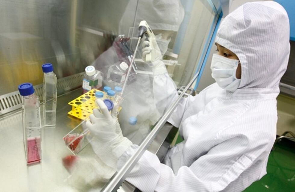 Desarrollaron un cristal que se repara solo a temperatura ambiente