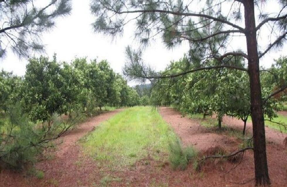 Chajarí: un hombre pelea por su vida tras accidentarse con su tractor