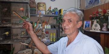 Veterinario ad honorem\u002E