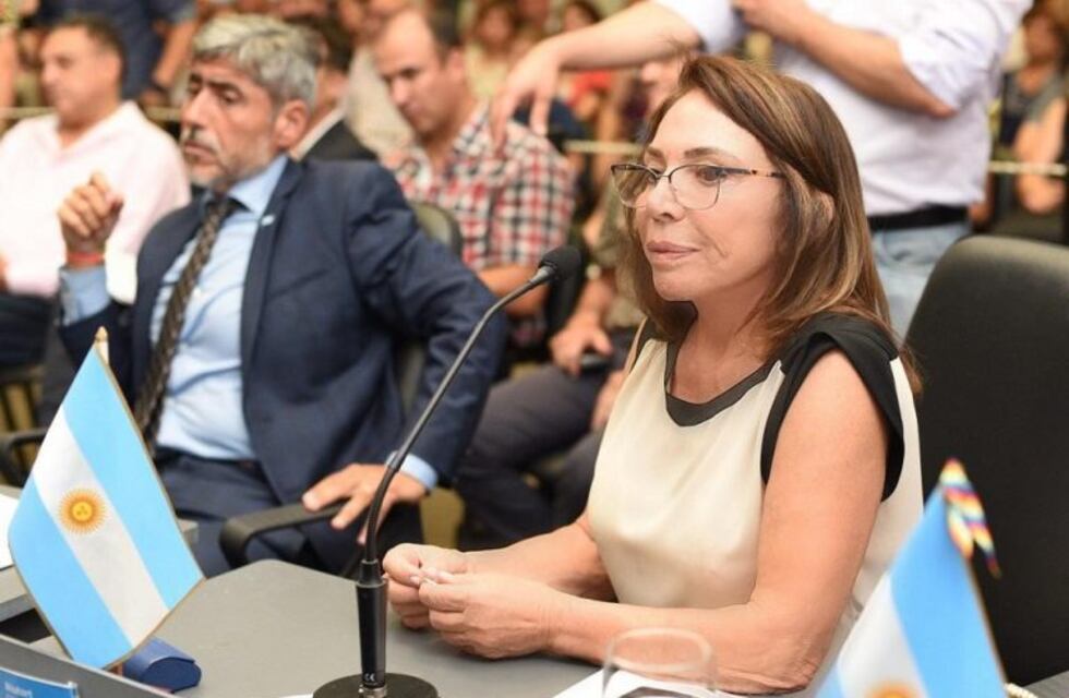 Concejales de Córdoba pidieron a Llaryora que intime a empresarios de transporte