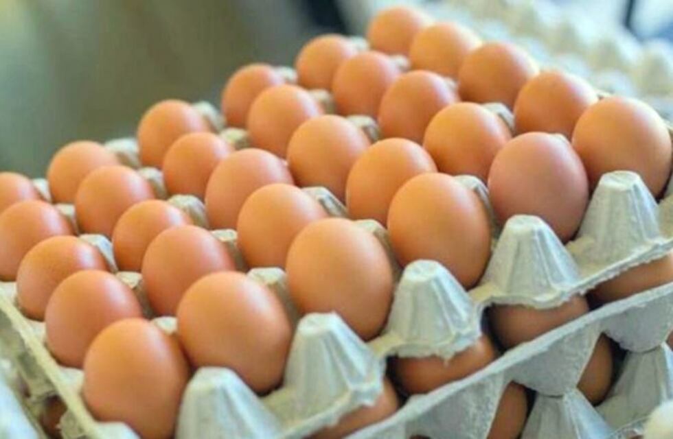 Coronavirus: culpan a la cadena de comercialización por el aumento en el precio de los huevos