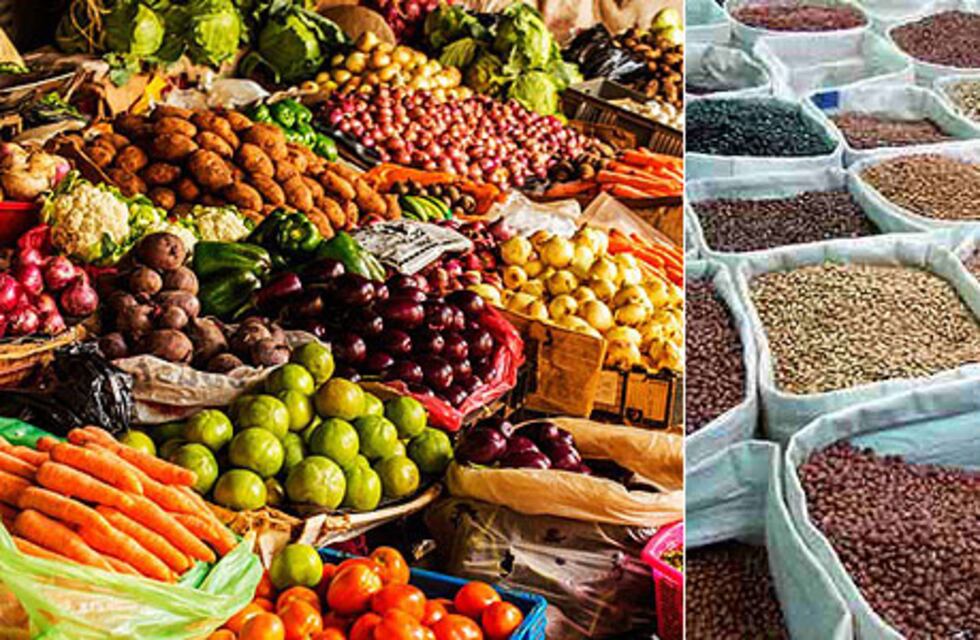 Agricultura y producción orgánica en un ciclo de pandemia