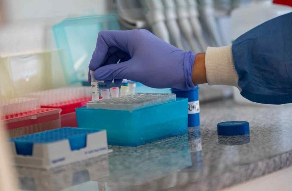 Test de Covid-19 truchos: una de las bioquímicas cordobesas negó haber falsificado análisis