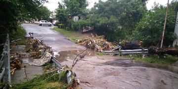 Búsqueda de Fiorella