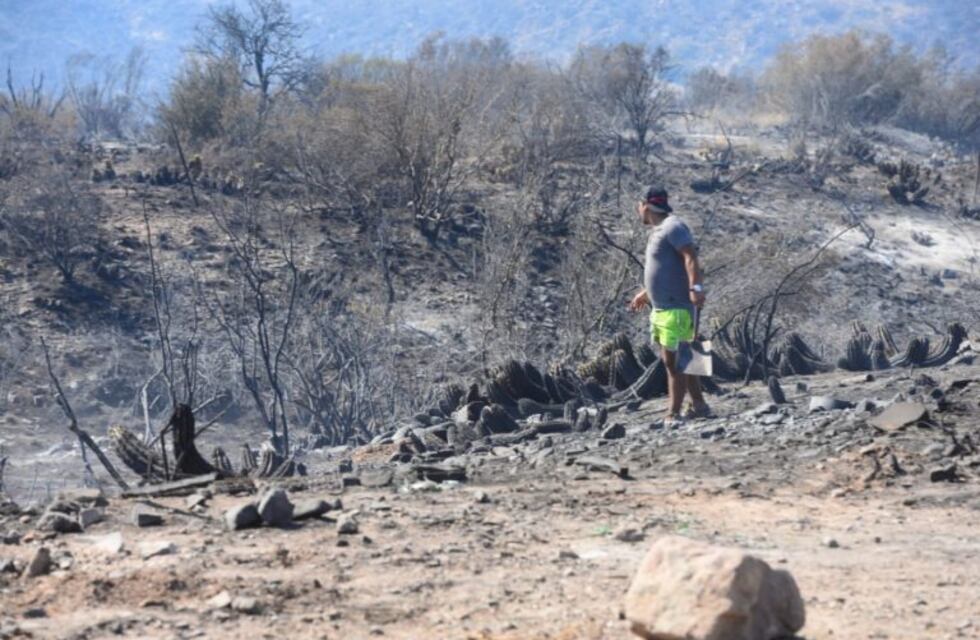 Cerro Arco: comenzó la Guardia de Ceniza en el llano