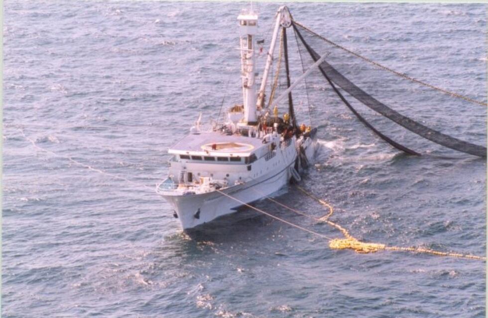 La economía creció en mayo un 3,3% interanual