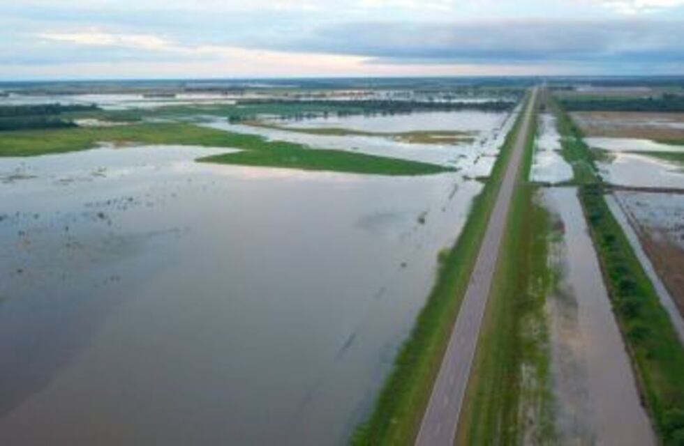 Peppo confirmó el comienzo del pago de los 200 millones a productores