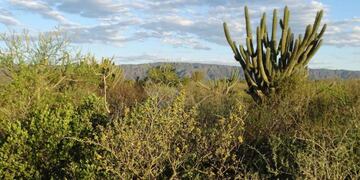 El área del parque alberga 229 especies de aves, 35 de mamíferos y 30 de reptiles\u002E