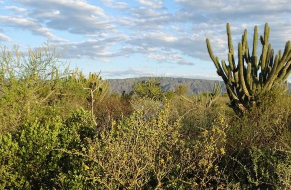 Estancia Pinas ya es Parque Nacional en Traslasierra