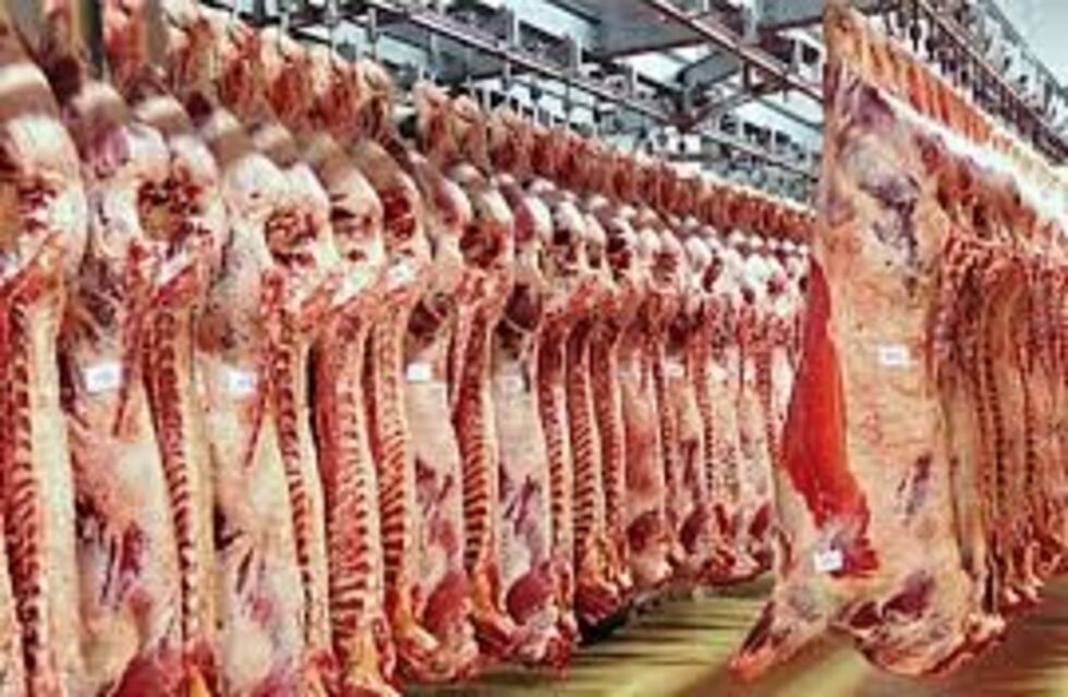 Diferentes tipos de grasa en la carne bovina y las razas