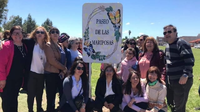 Metamorfosis Punta Alta