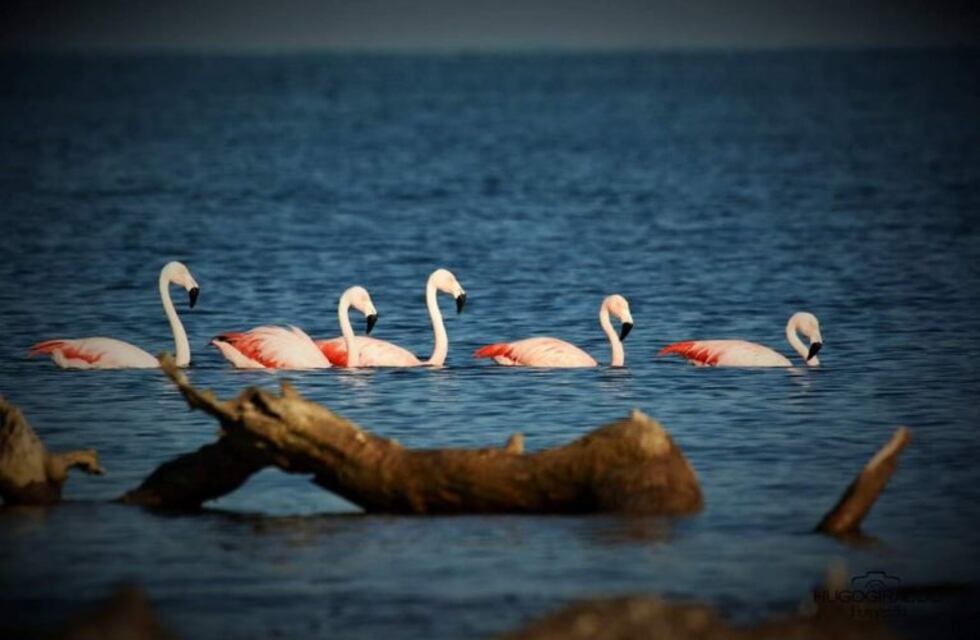 Altos de Chipión: avanza el proyecto del Centro de Interpretación Turística